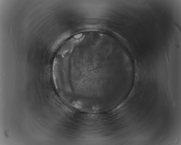 X0000103291411200809261239