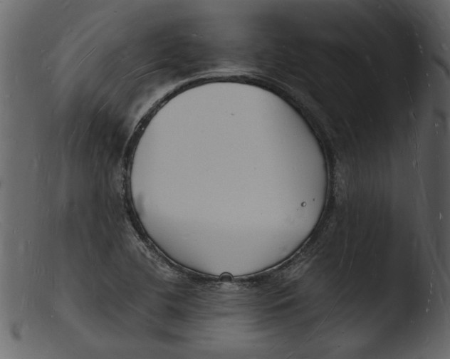 X0000103291412200809261239