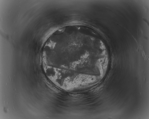 X0000103291413200809261239