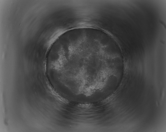 X0000103291415200809261239