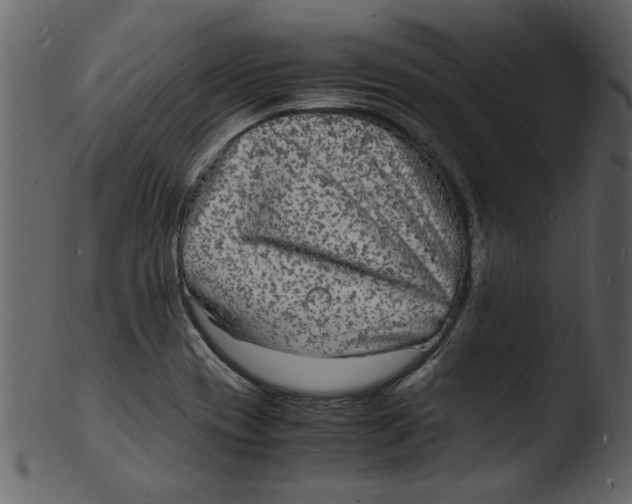 X0000103291417200809261239