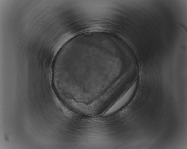 X0000103291418200809261239