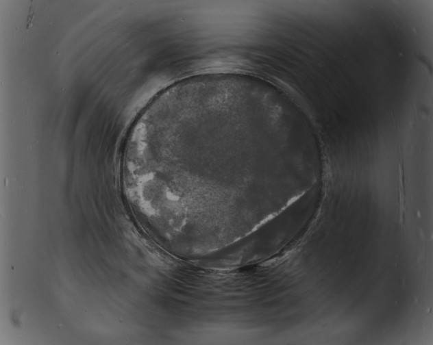 X0000103291419200809261239