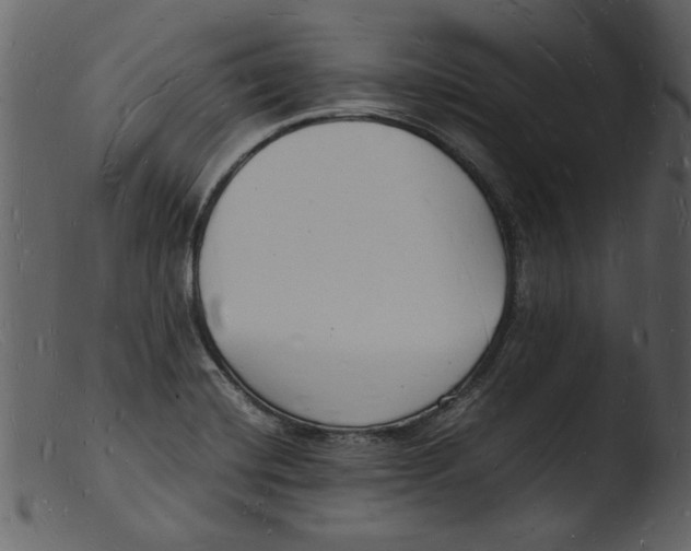 X0000103291420200809261239