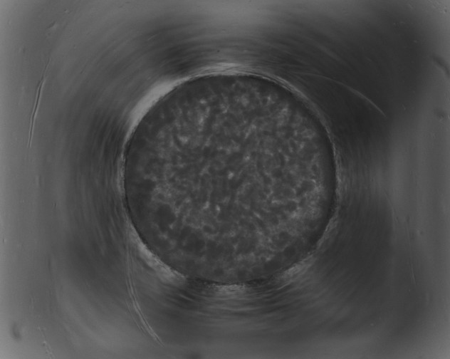 X0000103291421200809261239