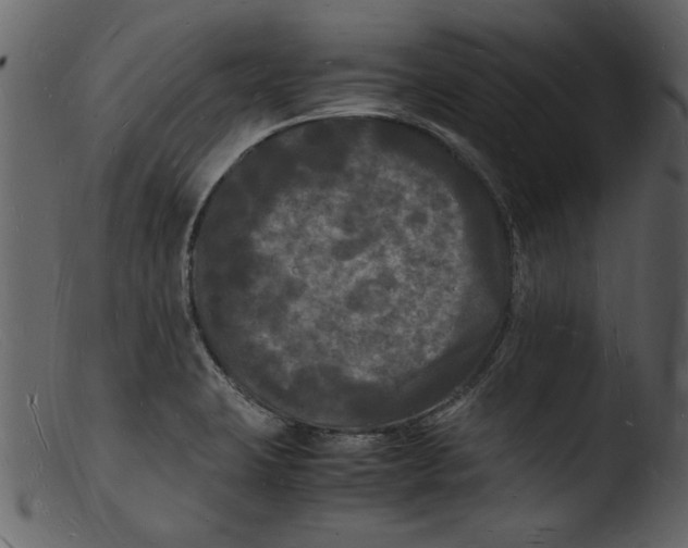 X0000103291423200809261239