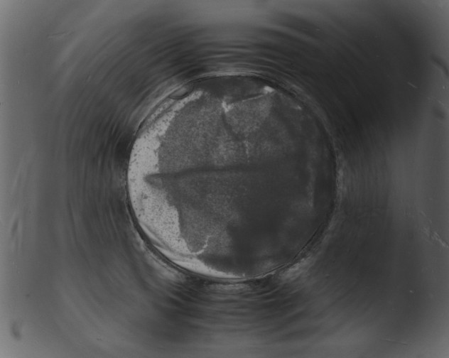 X0000103291425200809261239