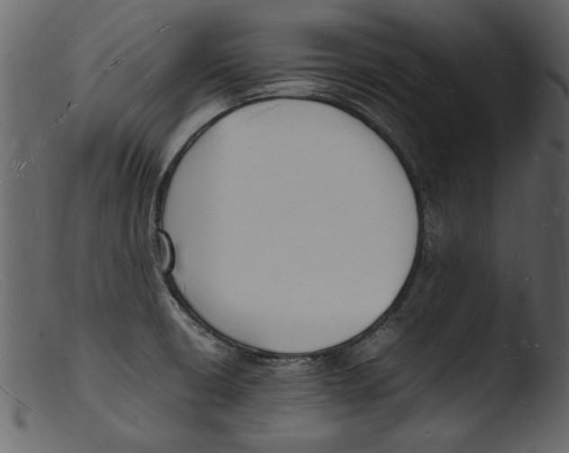 X0000103291426200809261239