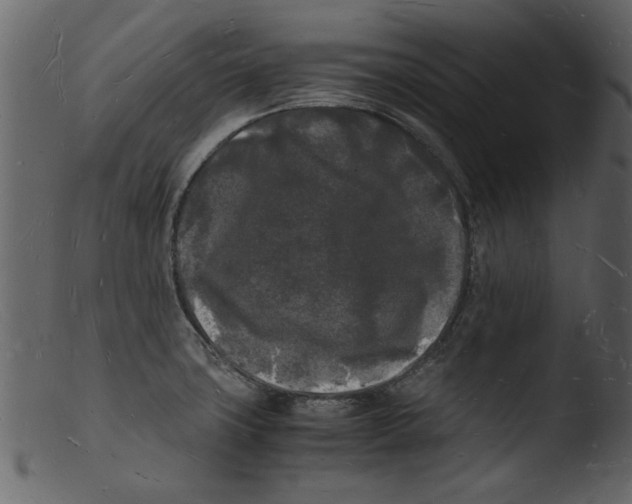 X0000103291427200809261239