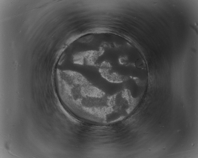 X0000103291429200809261239