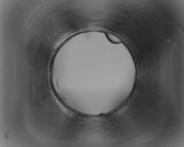 X0000103291430200809261239