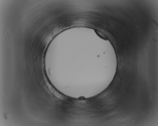 X0000103291431200809261239