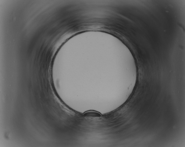 X0000103291432200809261239