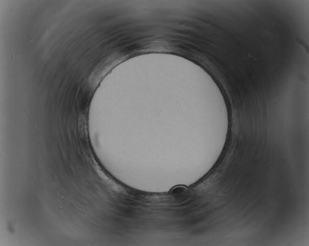 X0000103291433200809261239