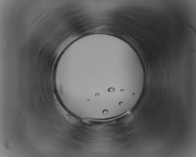 X0000103291434200809261239