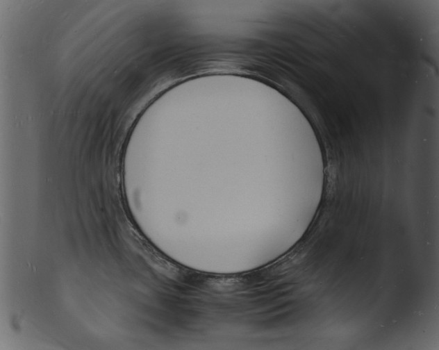 X0000103291435200809261239
