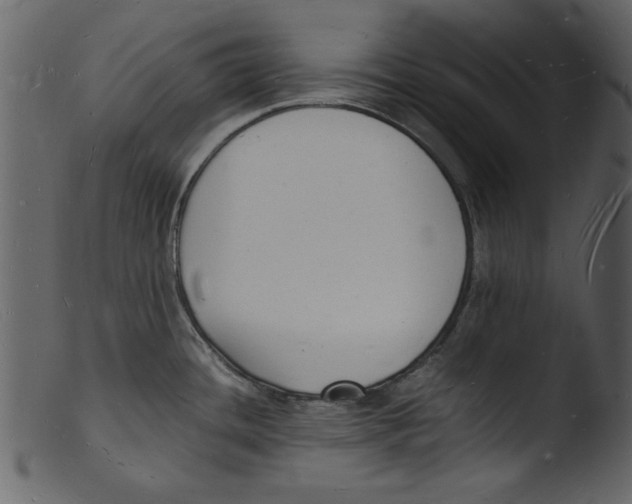 X0000103291436200809261239