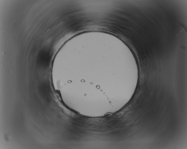 X0000103291437200809261239