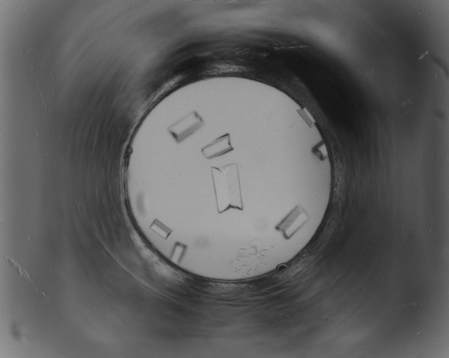 X0000103291439200809261239