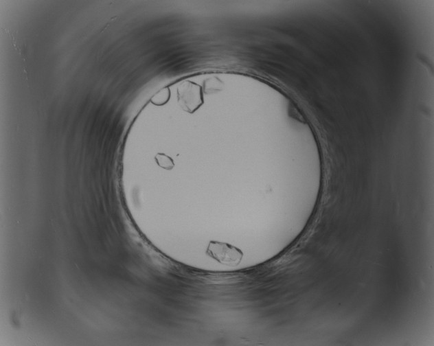 X0000103291440200809261239