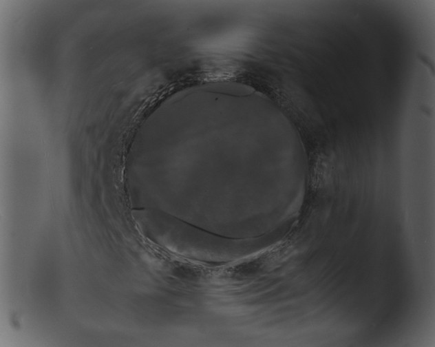 X0000103291441200809261238