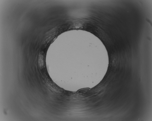 X0000103291442200809261238