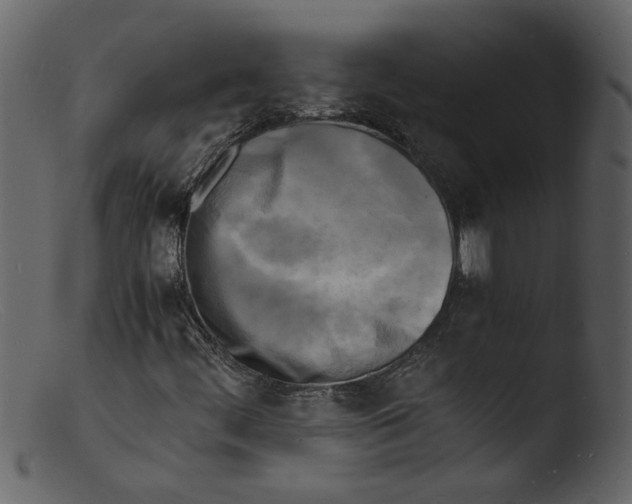 X0000103291444200809261238