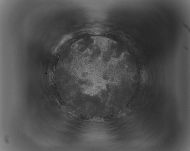 X0000103291446200809261238