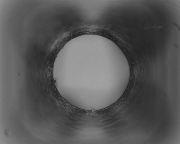 X0000103291447200809261238