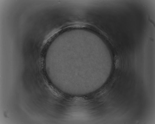 X0000103291448200809261238