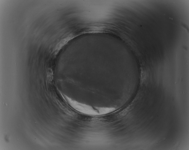 X0000103291449200809261238