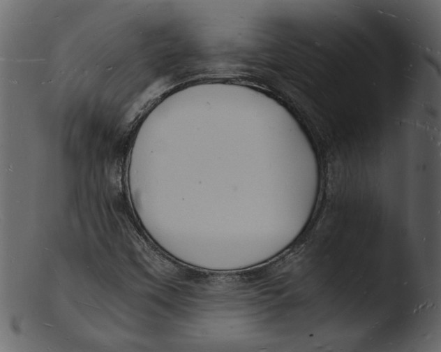 X0000103291451200809261238