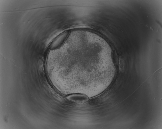 X0000103291452200809261238