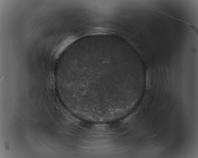 X0000103291453200809261238