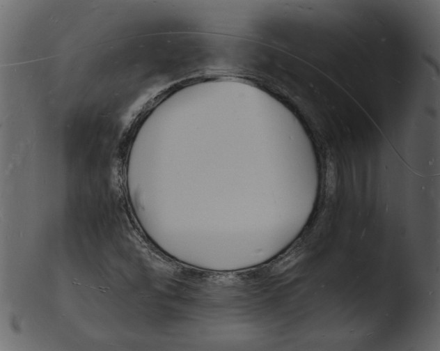 X0000103291454200809261238