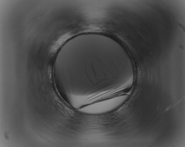 X0000103291455200809261238