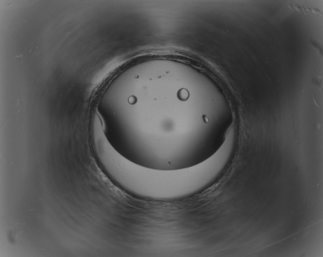 X0000103291456200809261238