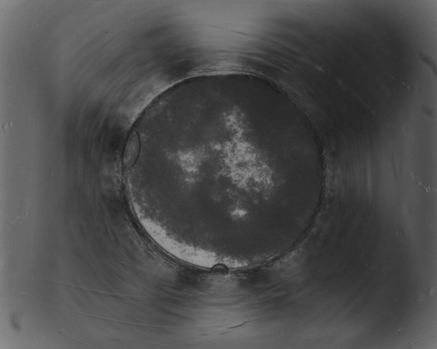 X0000103291457200809261238