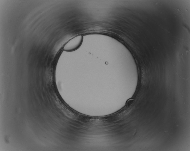 X0000103291458200809261238