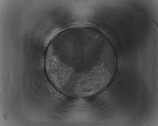 X0000103291459200809261238