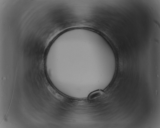 X0000103291460200809261238