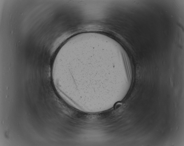 X0000103291461200809261238