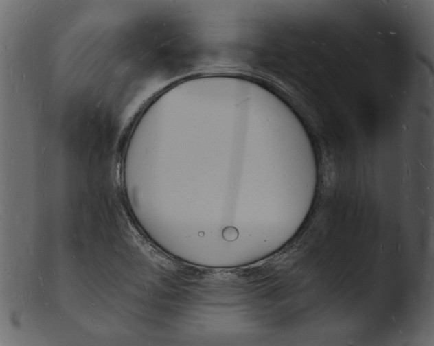 X0000103291462200809261238