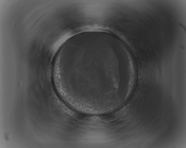 X0000103291463200809261238