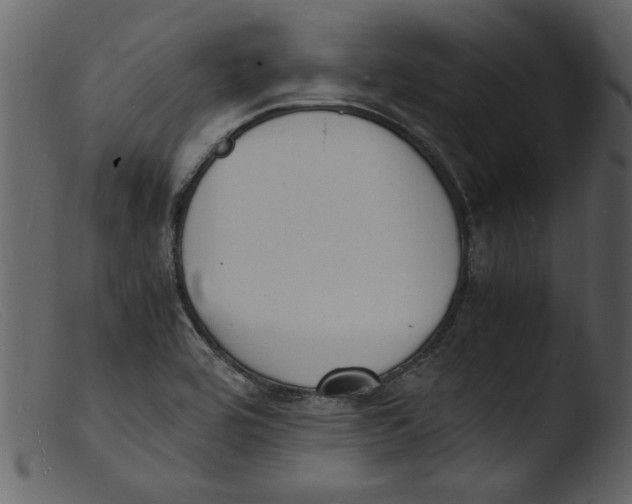 X0000103291464200809261238