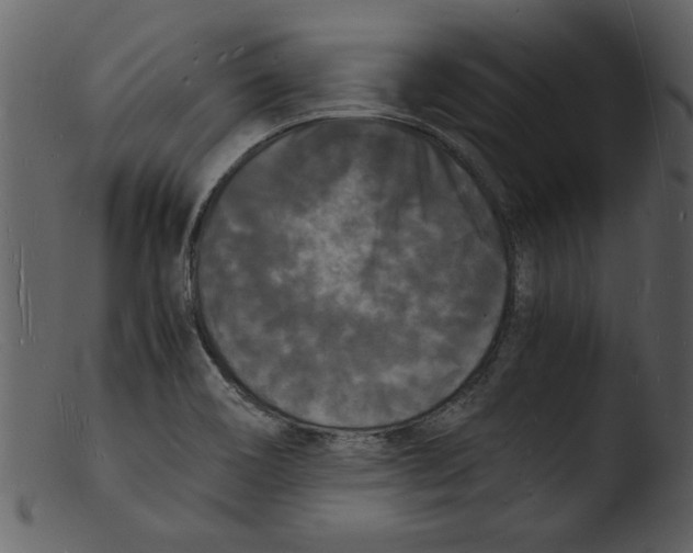 X0000103291466200809261238