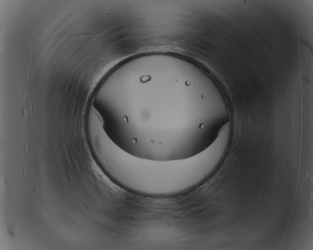 X0000103291468200809261238