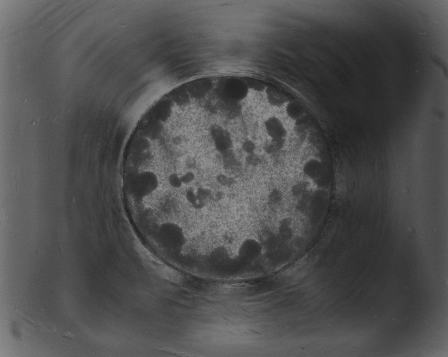 X0000103291471200809261238