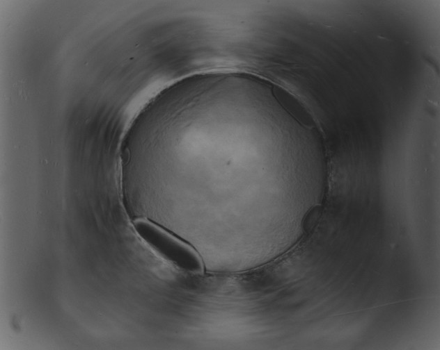 X0000103291472200809261238