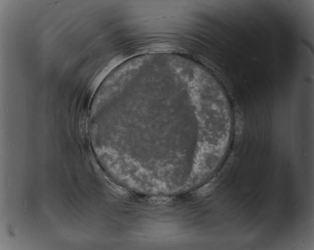 X0000103291473200809261238